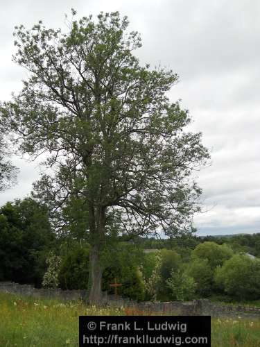 Donegal, Famine Graveyard